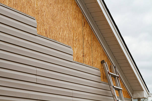 Professional Wood Siding technician working in Springfield, GA